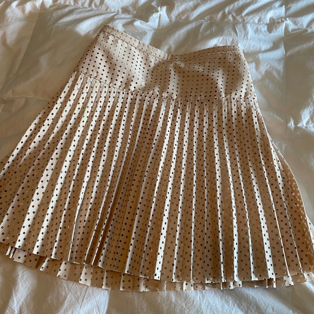JCrew Skirt